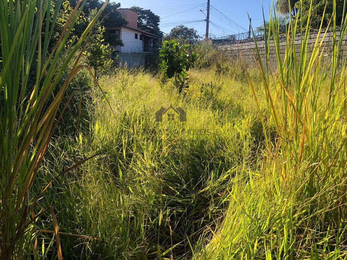 Lote, Praia Angélica, 0 Quarto