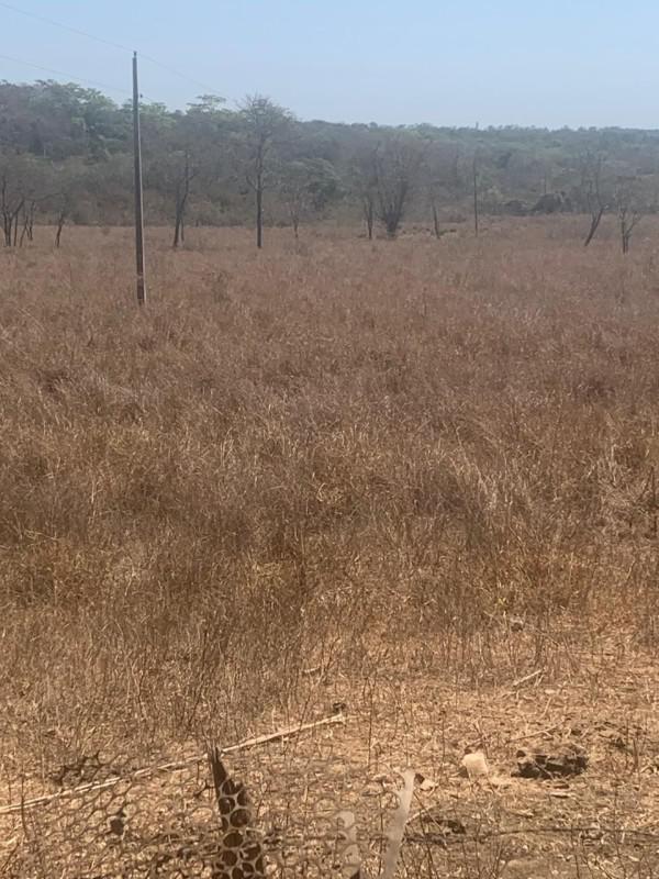 Fazenda, Centro, 0 Quarto, 0 Vaga