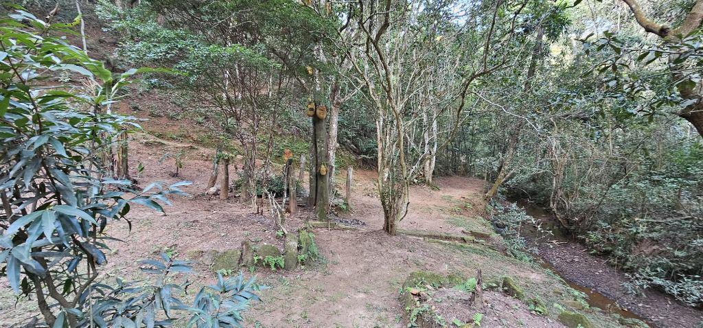 Fazenda, Morro da Cruz, 4 Quartos, 0 Vaga