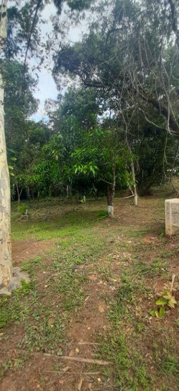 Fazenda, Arraial Velho, 0 Quarto, 0 Vaga