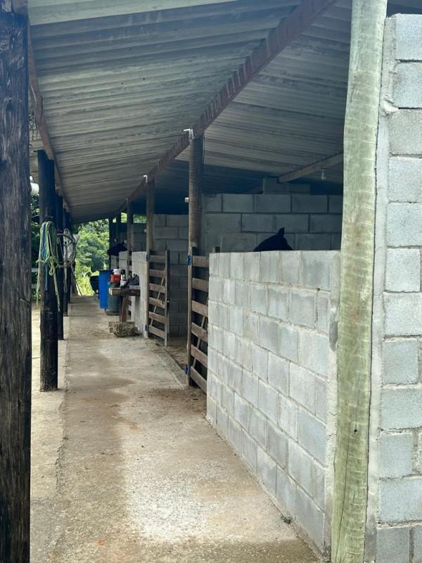 Fazenda, Zona Rural, 6 Quartos, 0 Vaga, 4 Suítes