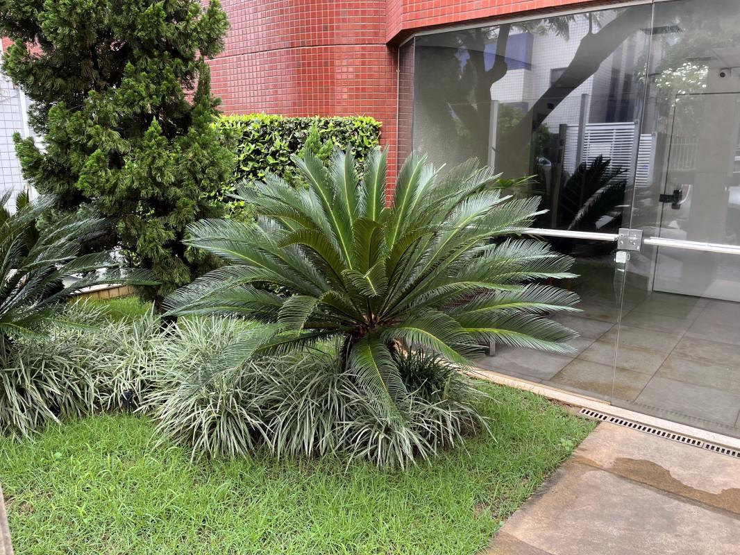 Apartamento, Coração Eucarístico, 4 Quartos, 3 Vagas, 1 Suíte