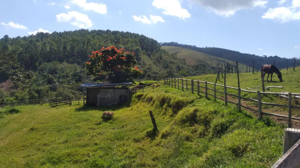 Fazenda, Centro, 0 Quarto, 0 Vaga