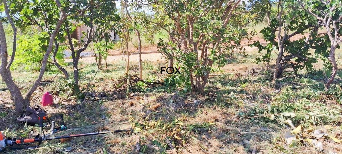 Lote, Centro, 0 Quarto, 0 Vaga