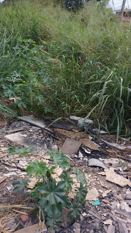 Lote, Betim Industrial, 0 Quarto, 0 Vaga