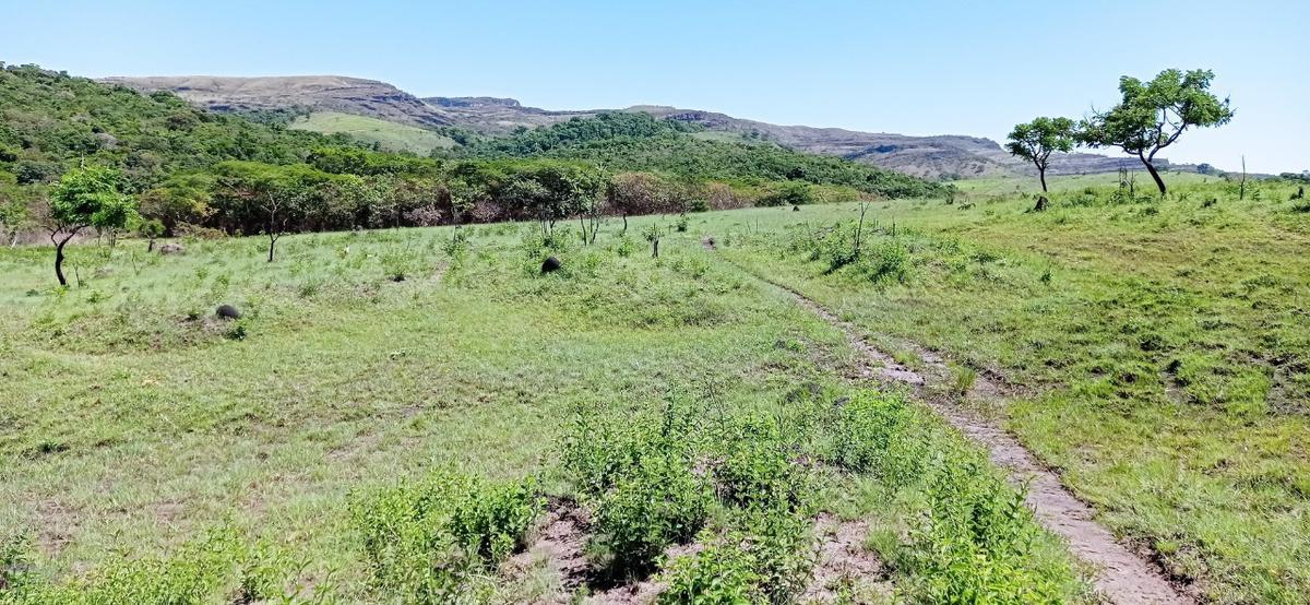 Fazenda, Zona Rural, 0 Quarto, 0 Vaga