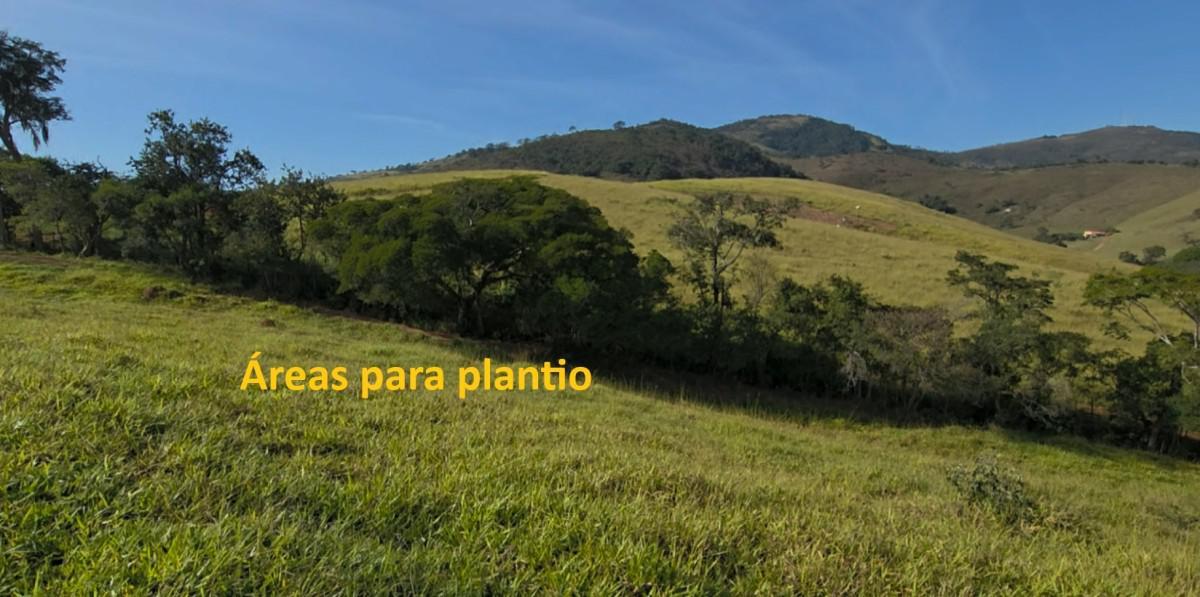 Fazenda, Zona Rural, 0 Quarto, 0 Vaga