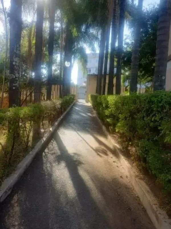 Apartamento, Santa Amélia, 3 Quartos, 1 Vaga