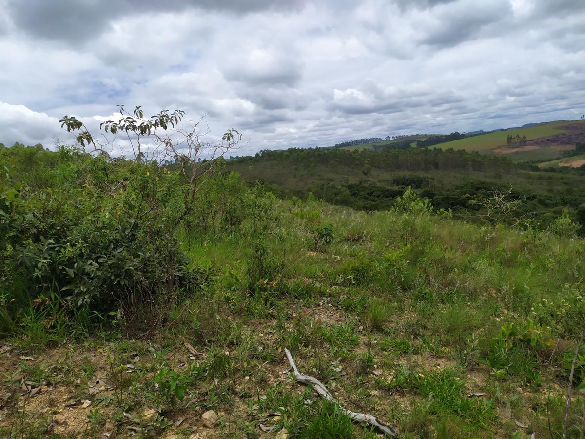 Fazenda, Centro, 1 Quarto, 0 Vaga