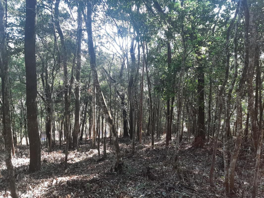 Lote, Green Park, 0 Quarto, 0 Vaga