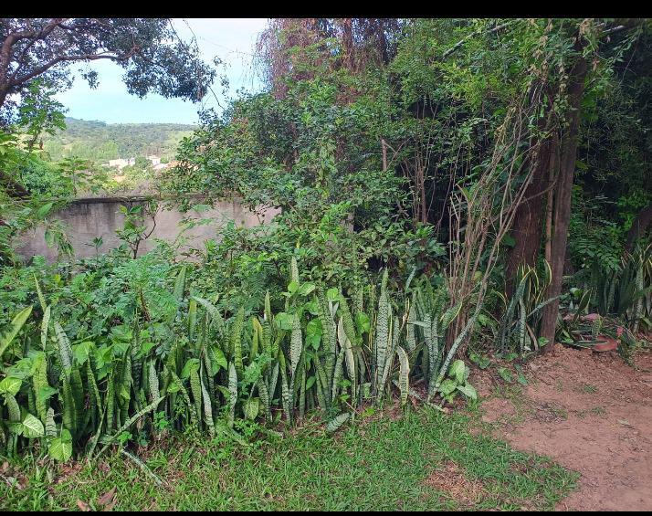 Lote, Granja Vista Alegre, 0 Quarto, 0 Vaga