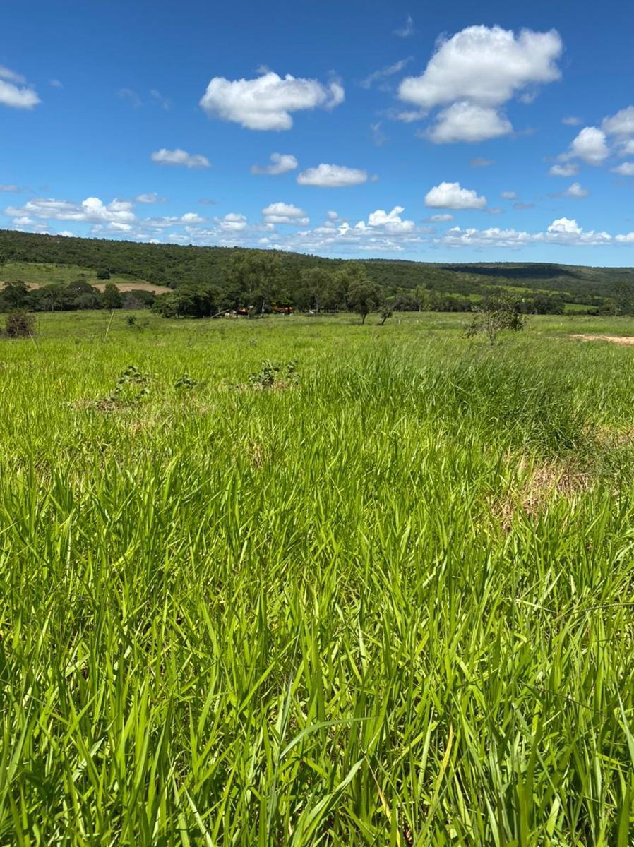 Fazenda, Centro, 4 Quartos, 2 Vagas