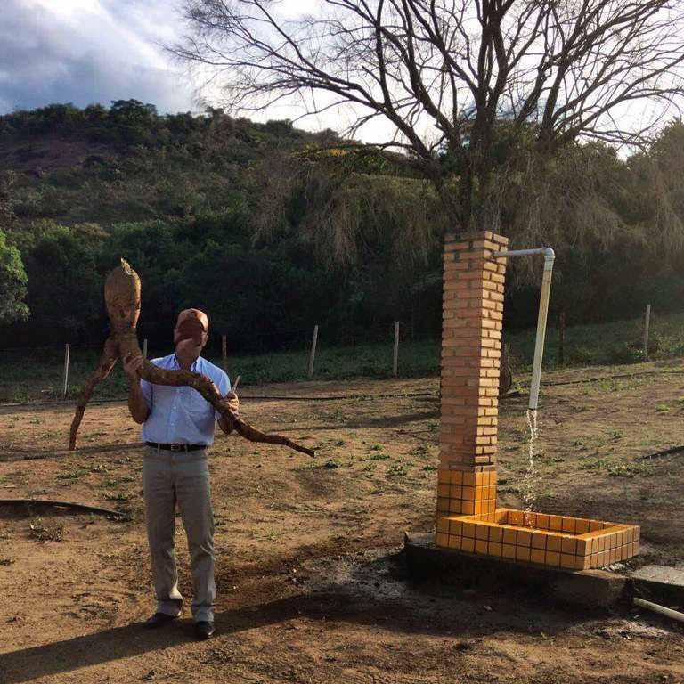Fazenda, Centro, 4 Quartos, 10 Vagas, 1 Suíte