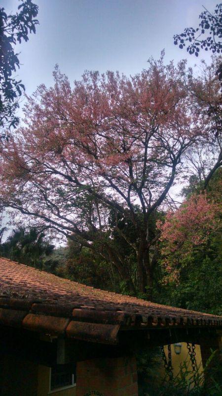 Fazenda, Rosário, 3 Quartos, 0 Vaga, 3 Suítes