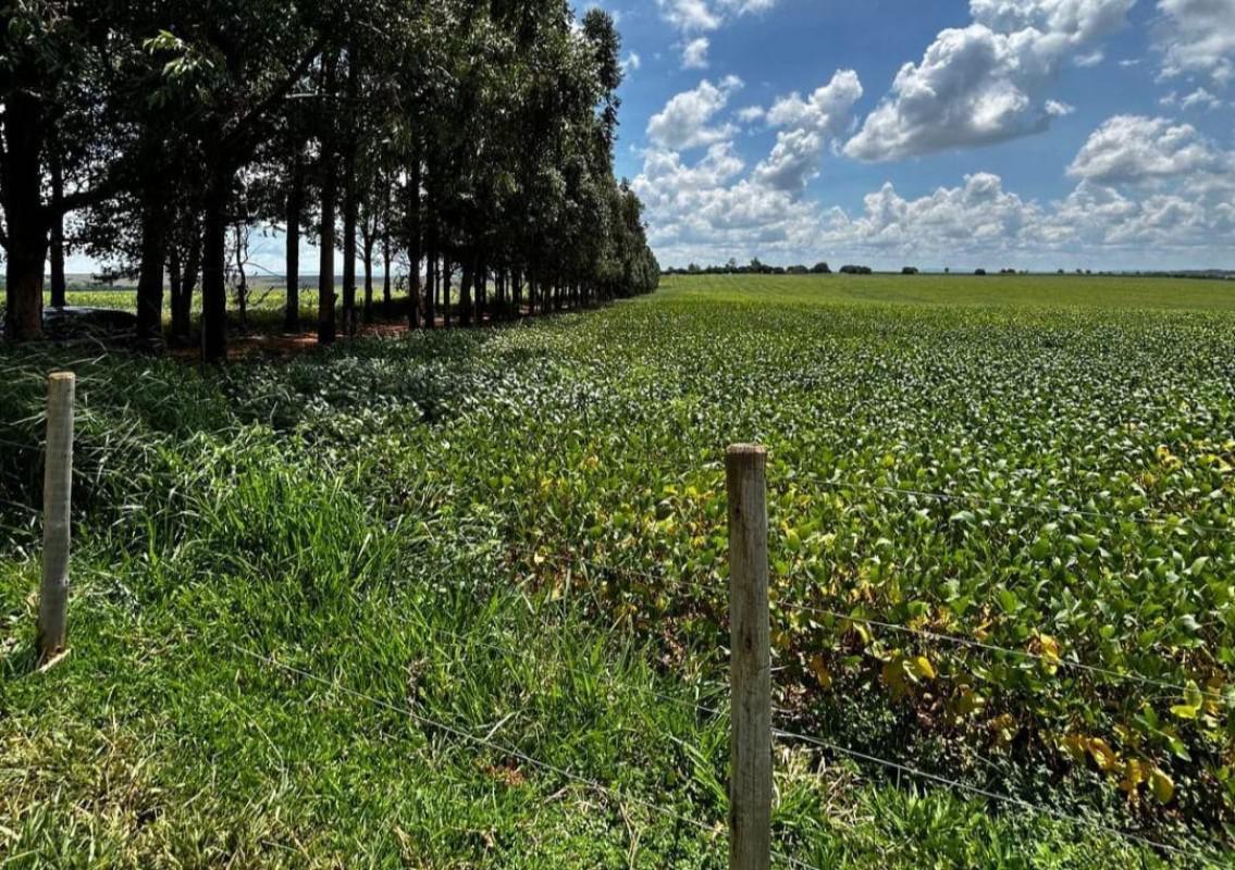 Fazenda, Centro, 0 Quarto, 0 Vaga
