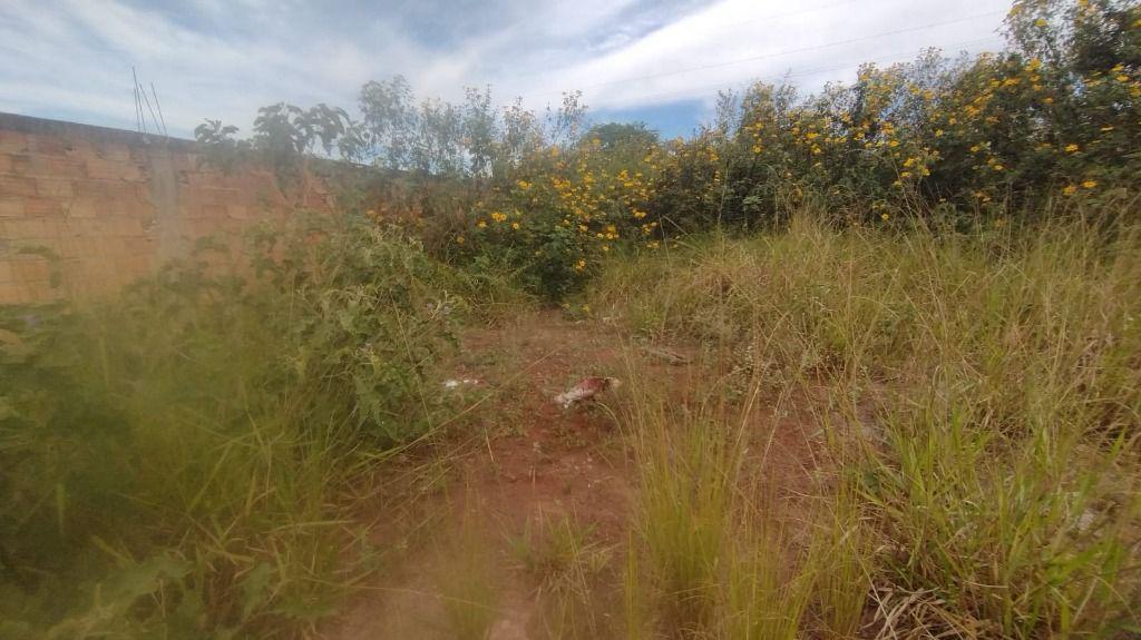 Lote, Paciência, 0 Quarto, 0 Vaga