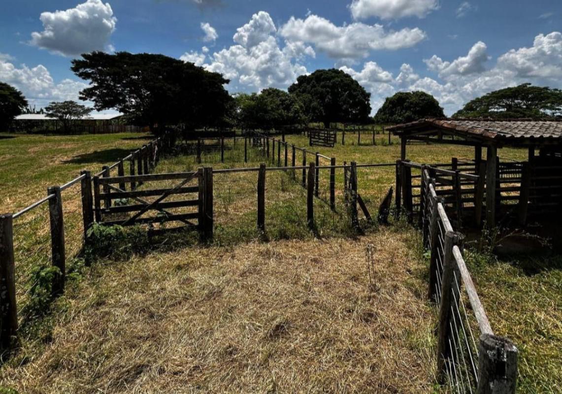 Fazenda, Centro, 0 Quarto, 0 Vaga