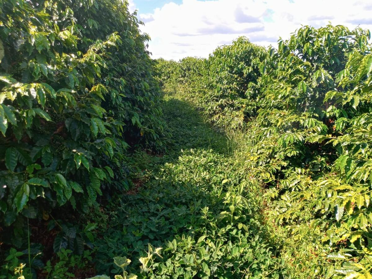 Fazenda, Zona Rural, 0 Quarto, 0 Vaga