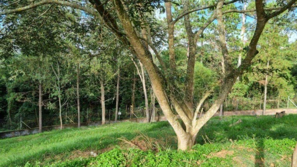 Lote, Alphaville - Lagoa dos Ingleses, 0 Quarto, 0 Vaga