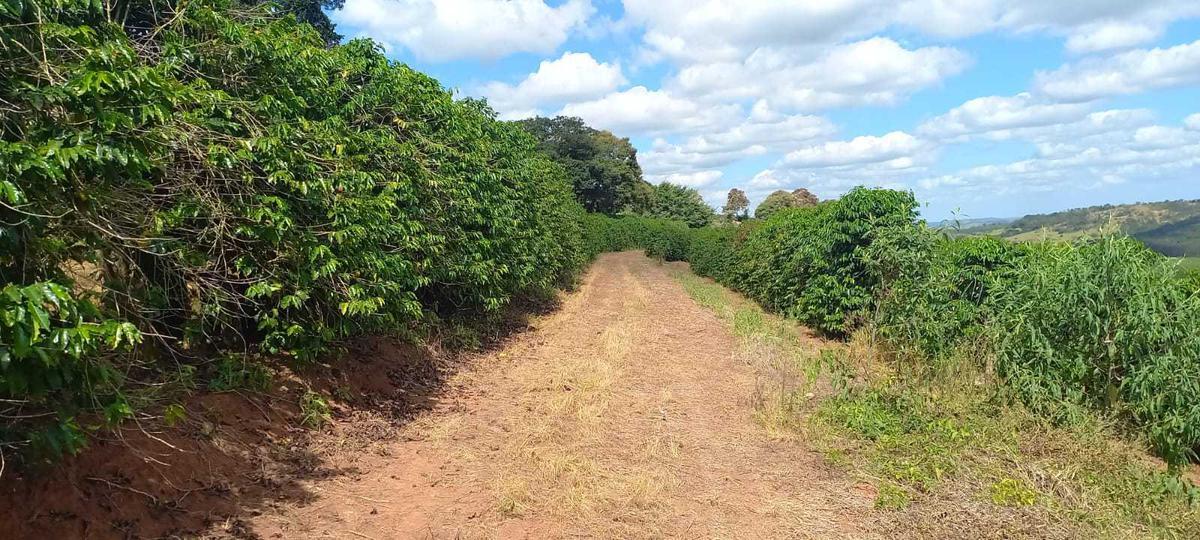 Fazenda, Zona Rural, 4 Quartos, 0 Vaga