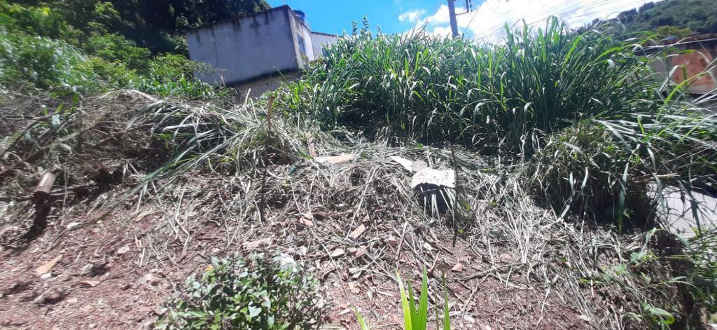 Lote, São José, 0 Quarto, 0 Vaga