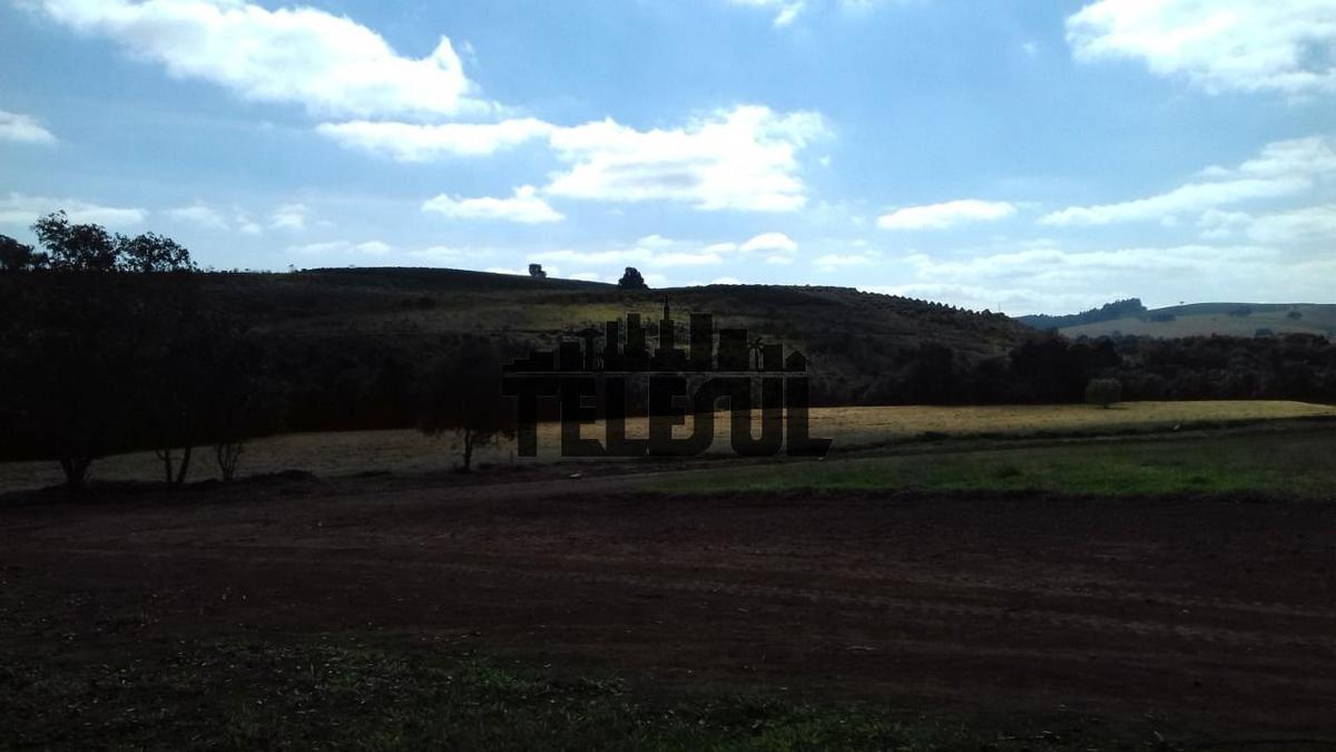 Lote, Zona Rural, 0 Quarto, 0 Vaga