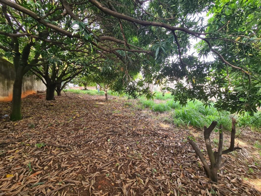 Lote, Jardim Atlântico, 0 Quarto, 0 Vaga
