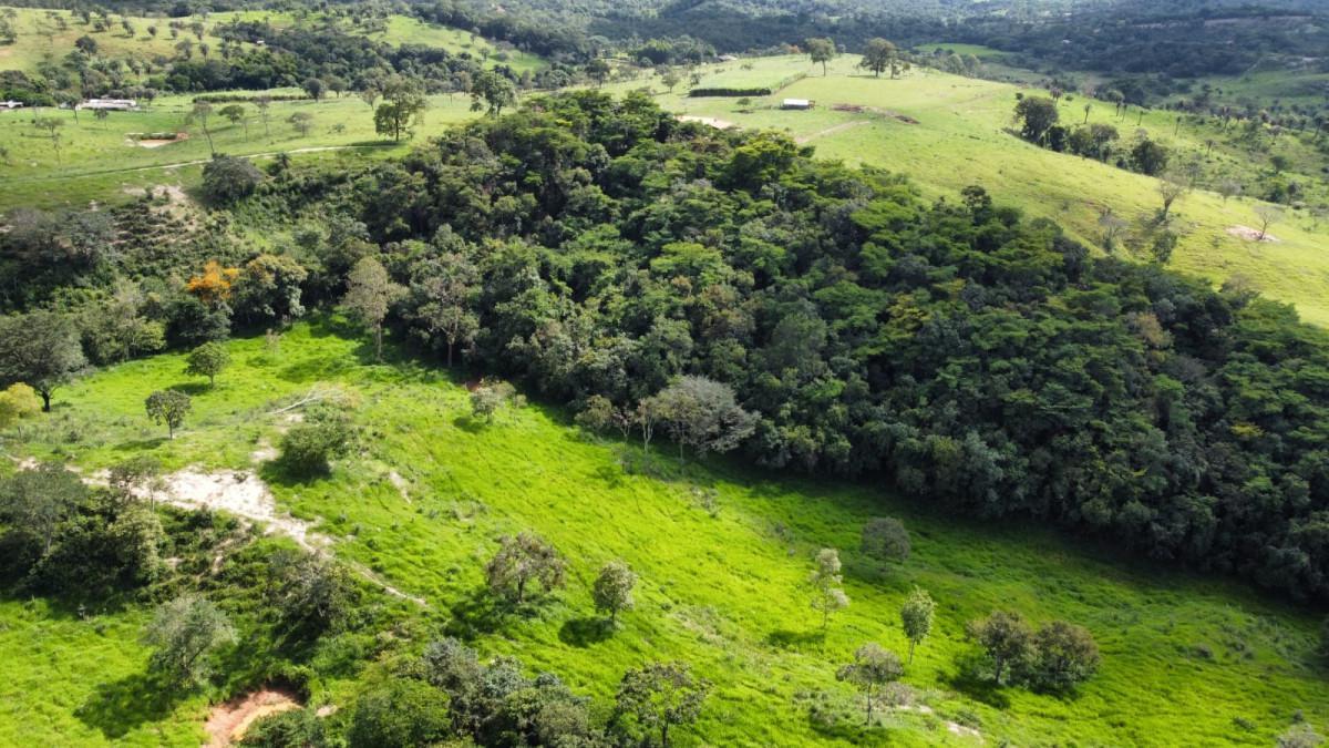 Fazenda, Centro, 0 Quarto, 0 Vaga