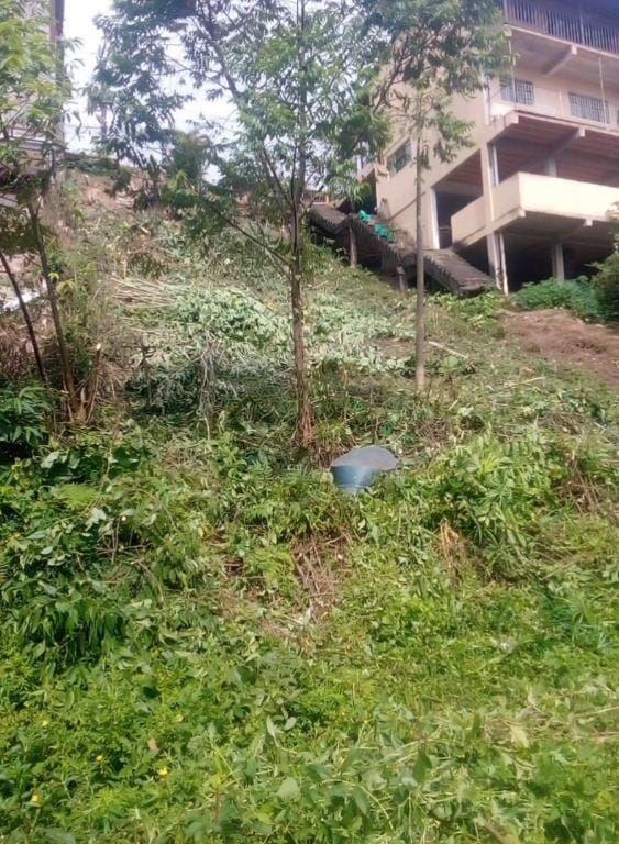 Lote, Vila Santa Cruz, 0 Quarto, 0 Vaga
