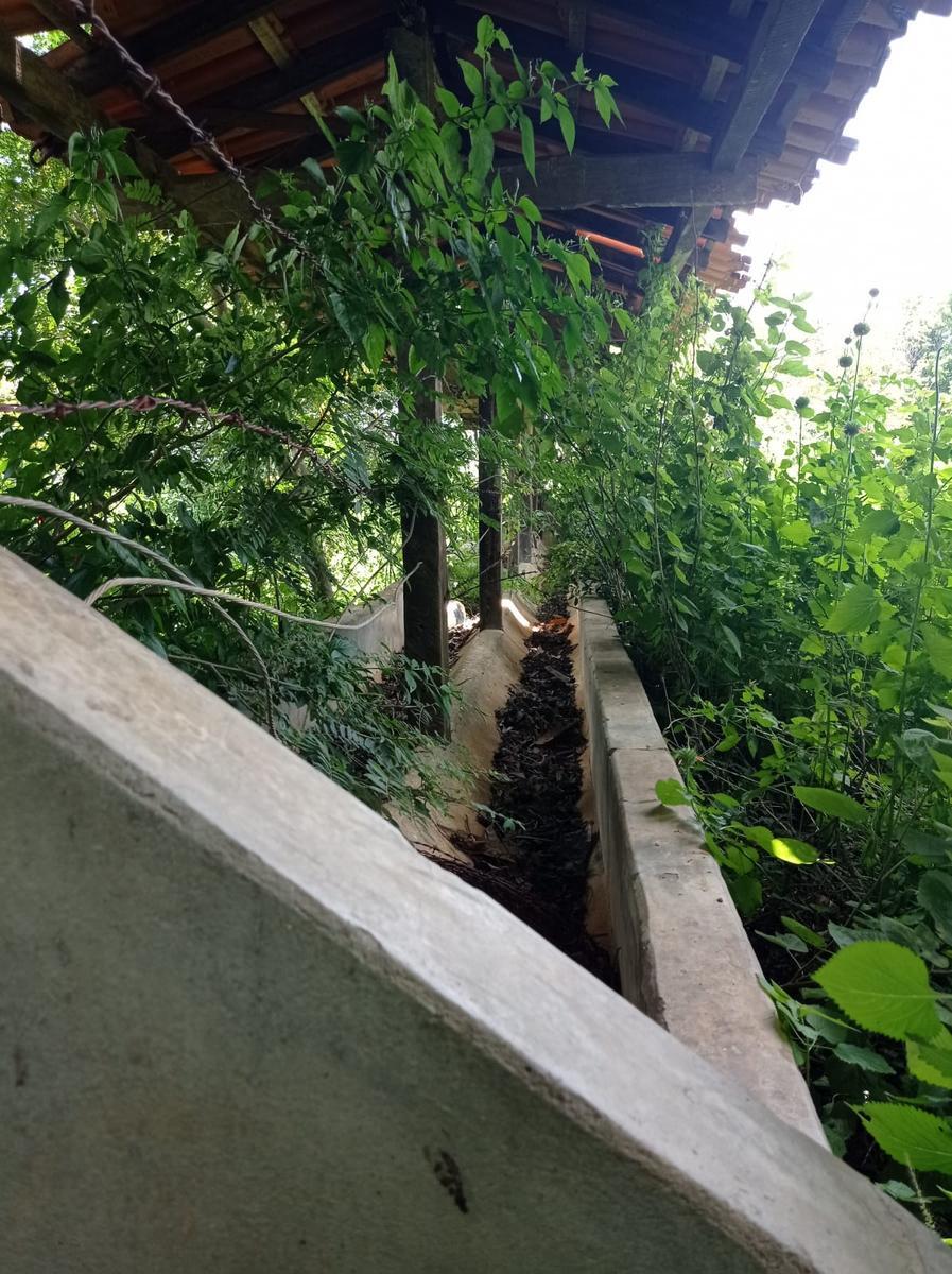 Fazenda, Buriti Grande