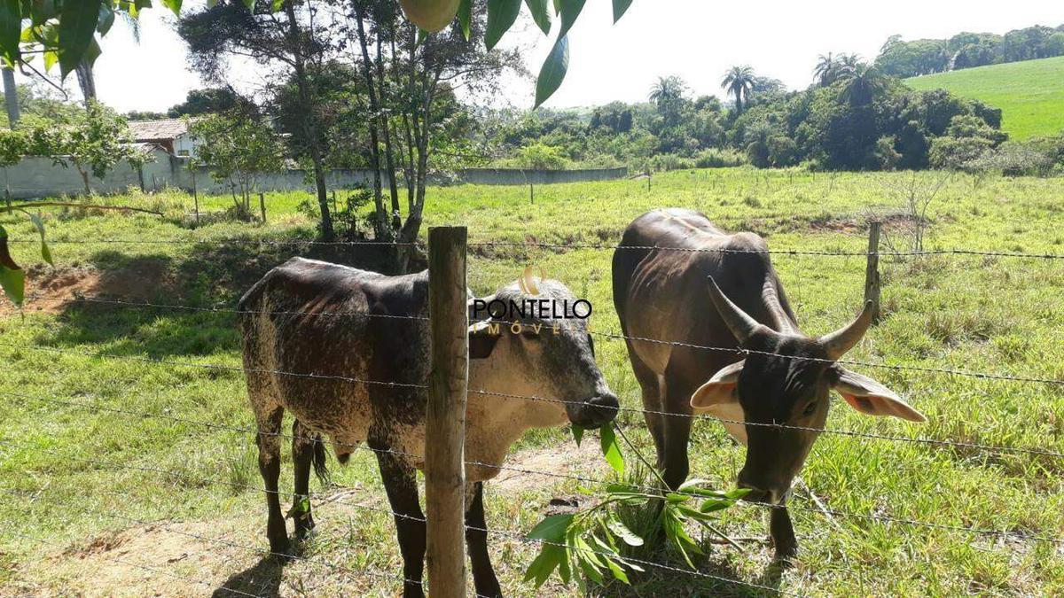 Fazenda, Universitário, 4 Quartos, 3 Vagas, 1 Suíte