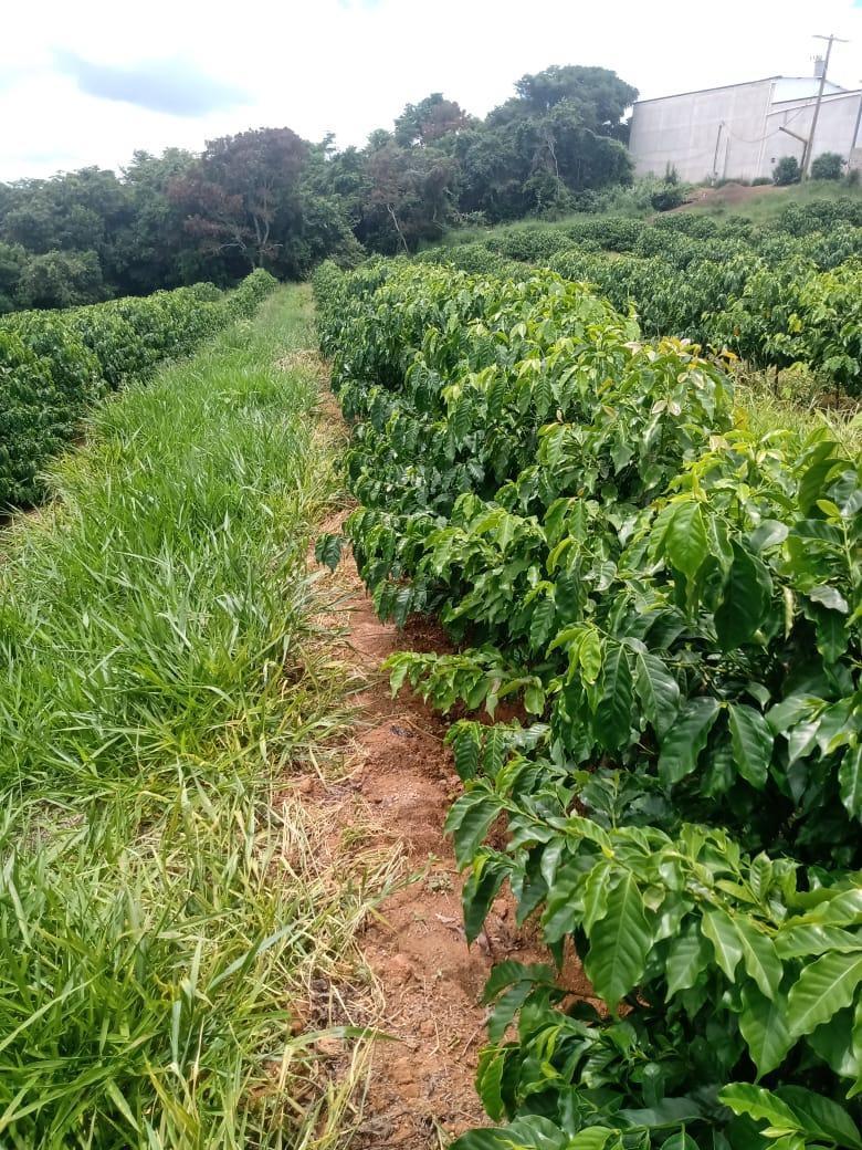 Fazenda, São Sebastião da Estrela, 1 Quarto, 1 Vaga, 1 Suíte