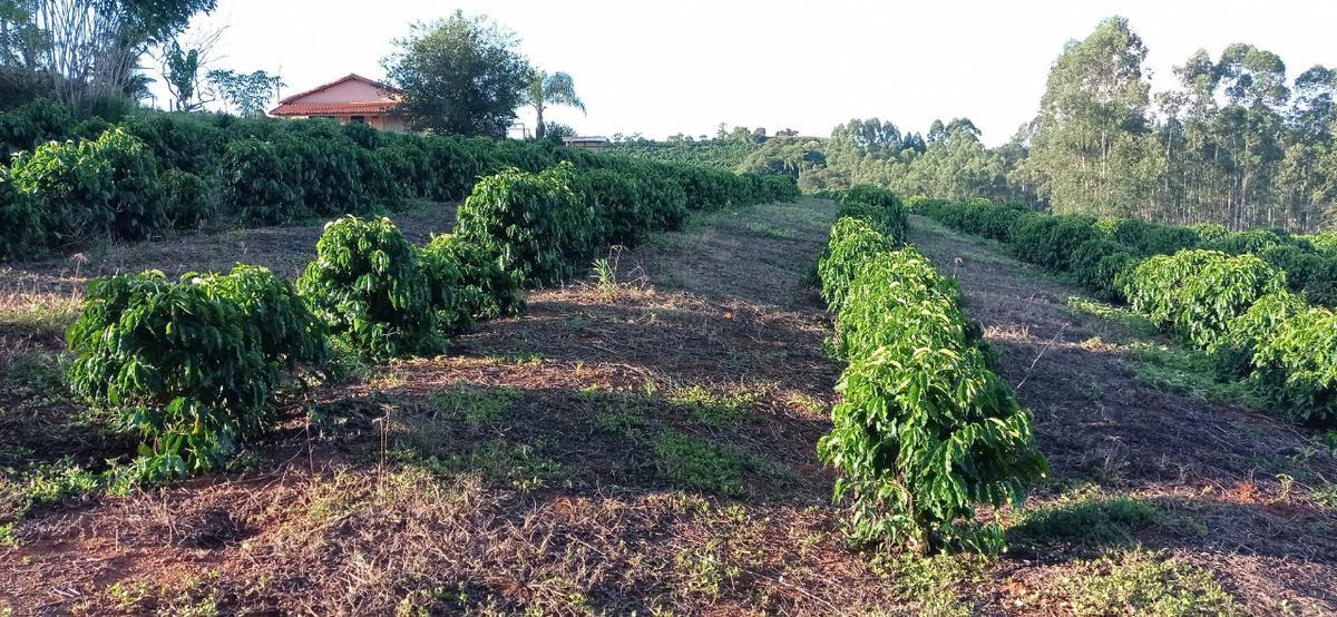 Fazenda, Zona Rural, 4 Quartos, 4 Vagas, 1 Suíte