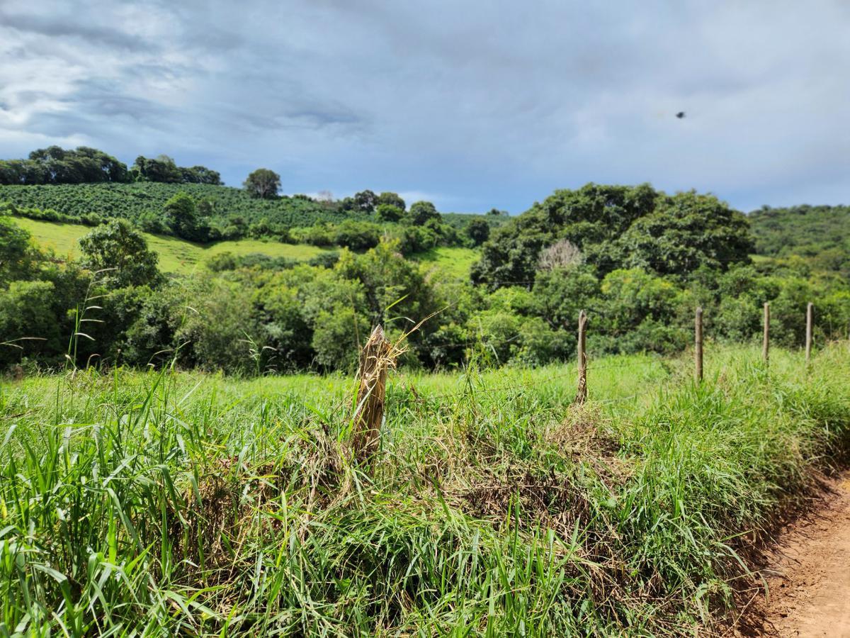 Fazenda, Zona Rural, 3 Quartos, 0 Vaga