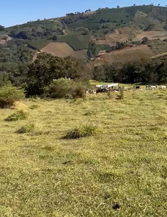 Fazenda, Zona Rural, 4 Quartos, 0 Vaga