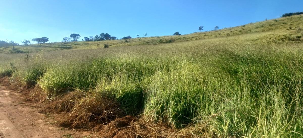 Fazenda, Zona Rural, 0 Quarto, 0 Vaga