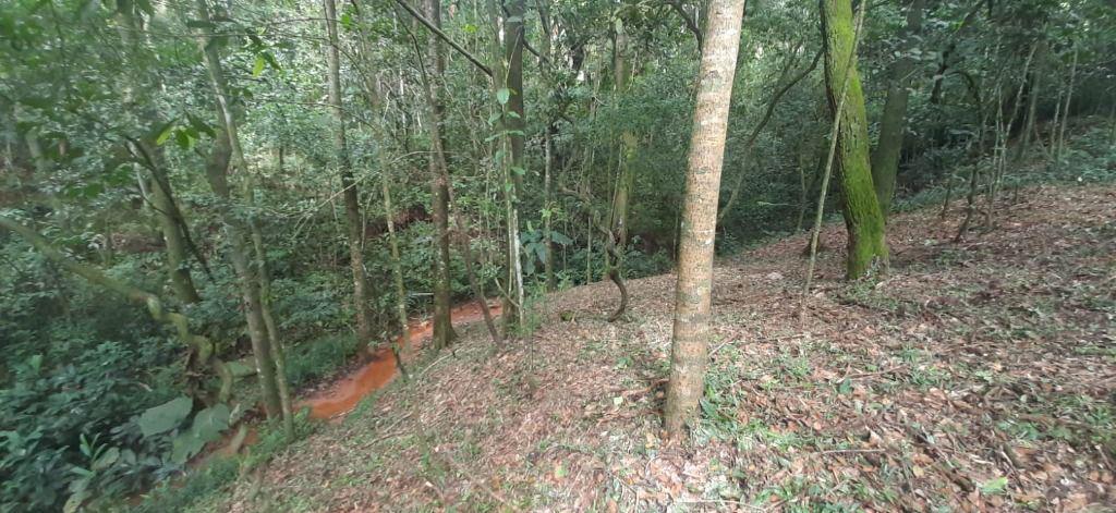 Fazenda, Arraial Velho, 0 Quarto, 0 Vaga