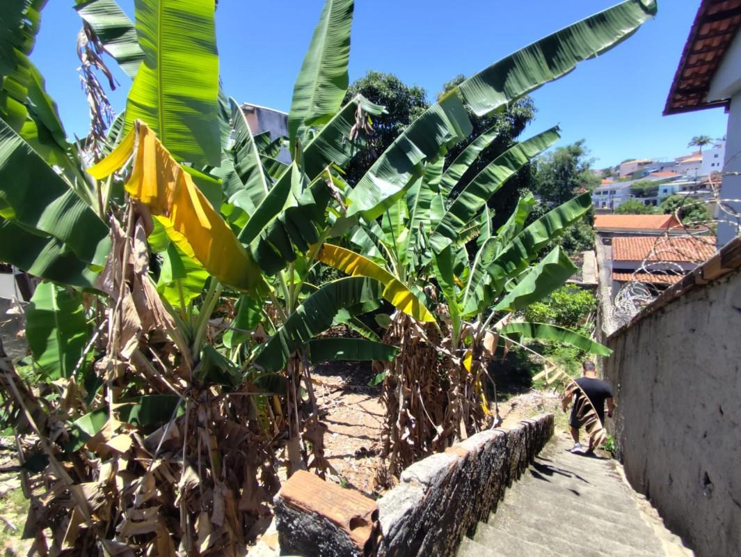 Lote, Planalto, 0 Quarto, 0 Vaga