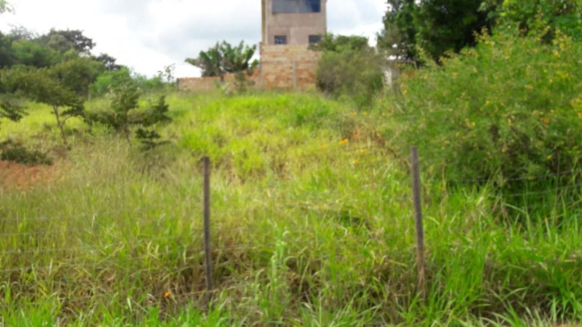 Lote, Atenas, 0 Quarto, 0 Vaga