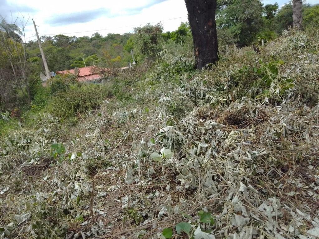 Lote, Ravena, 0 Quarto, 0 Vaga