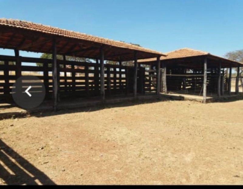 Fazenda, Centro, 0 Quarto, 0 Vaga