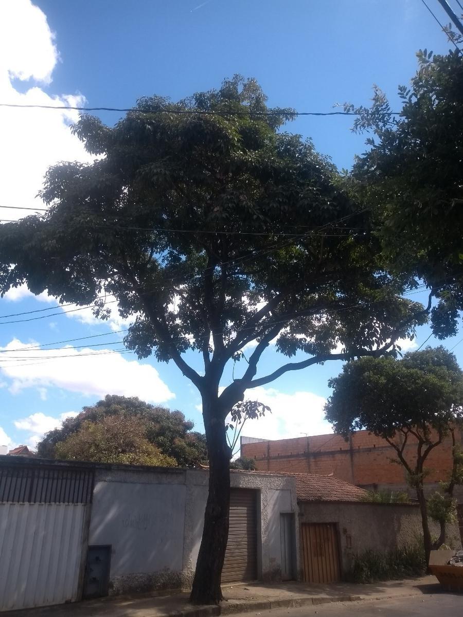 Andar, Floramar, 3 Quartos, 8 Vagas