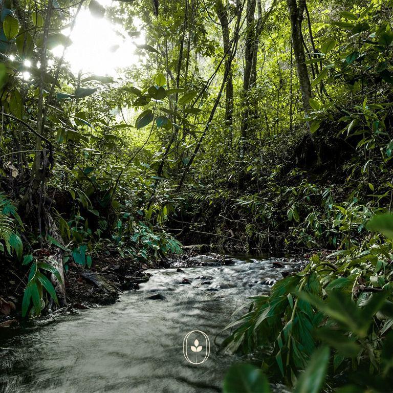 Lote, Zona Rural, 0 Quarto, 0 Vaga