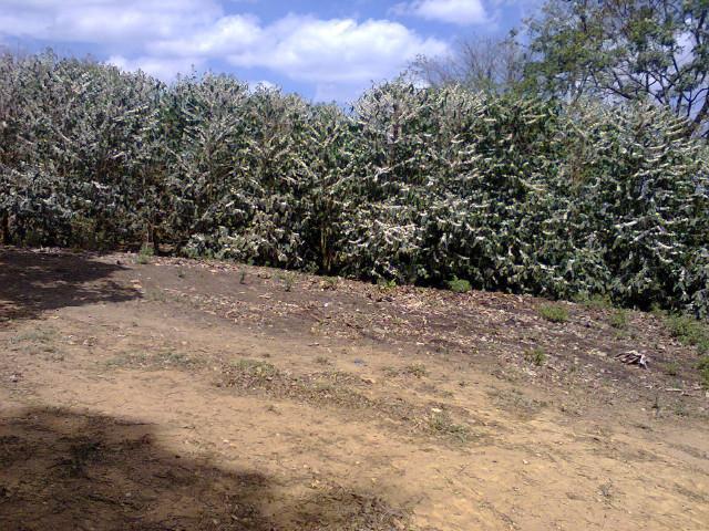 Fazenda, Zona Rural, 4 Quartos, 0 Vaga, 1 Suíte