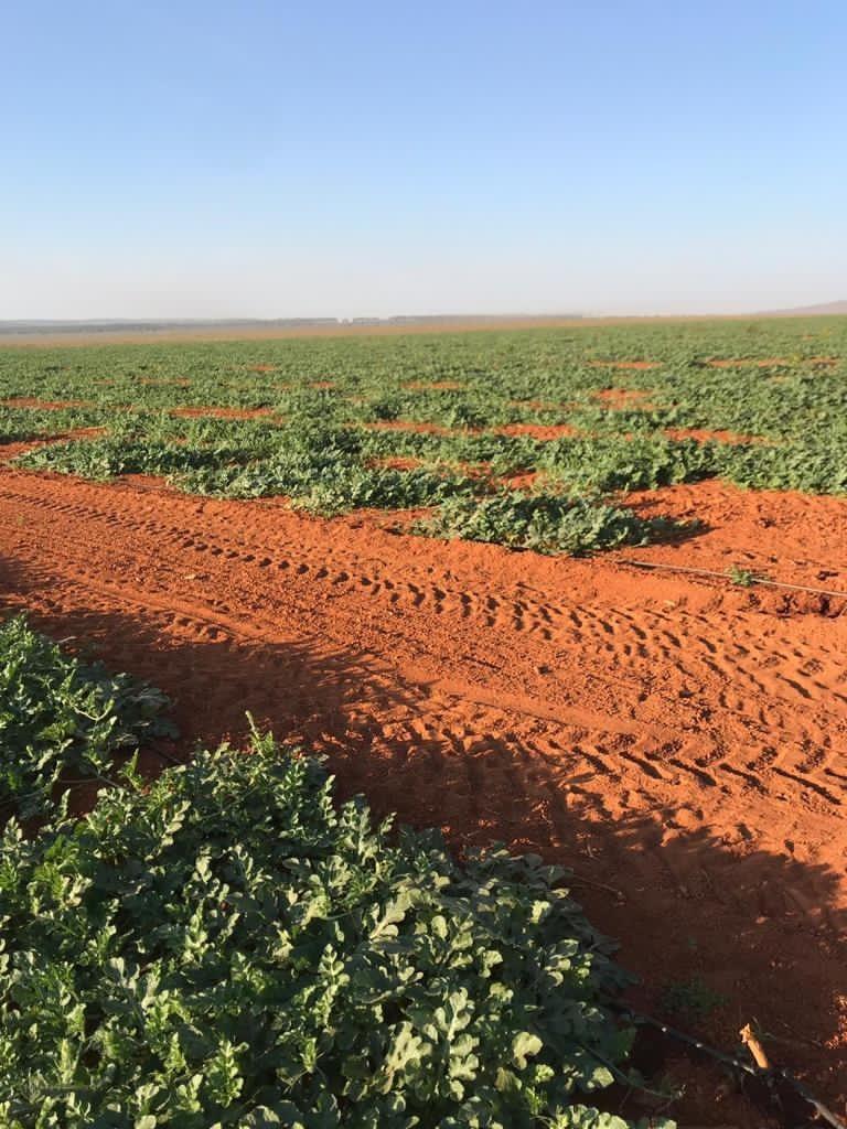 Fazenda, Centro, 0 Quarto, 0 Vaga