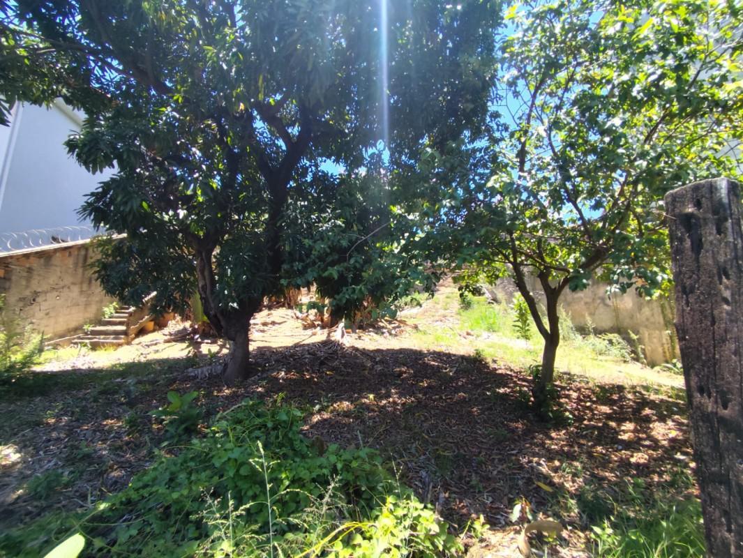 Lote, Planalto, 0 Quarto, 0 Vaga