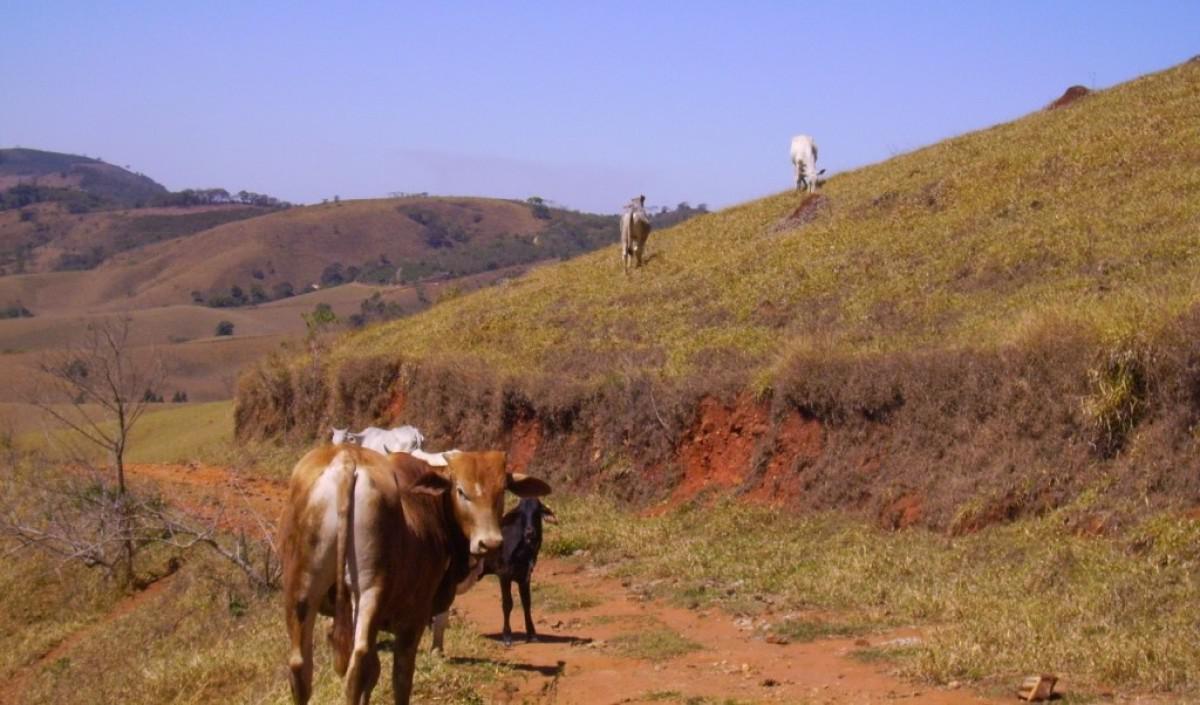 Fazenda, Zona Rural, 0 Quarto, 0 Vaga