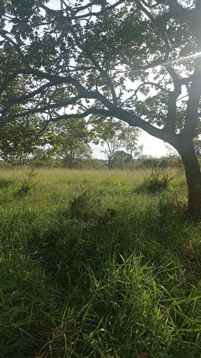Fazenda, Zona Rural, 6 Quartos, 0 Vaga, 1 Suíte