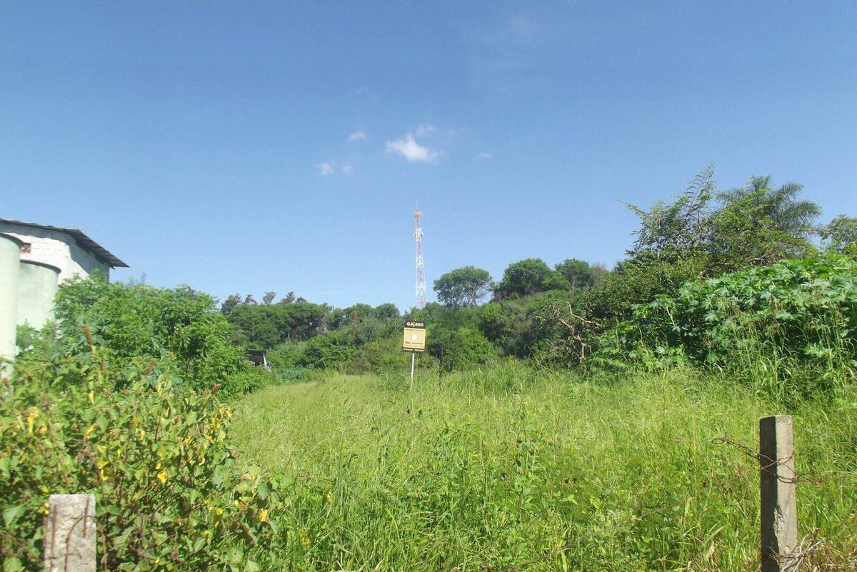 Lote, Vila Olga, 0 Quarto, 0 Vaga