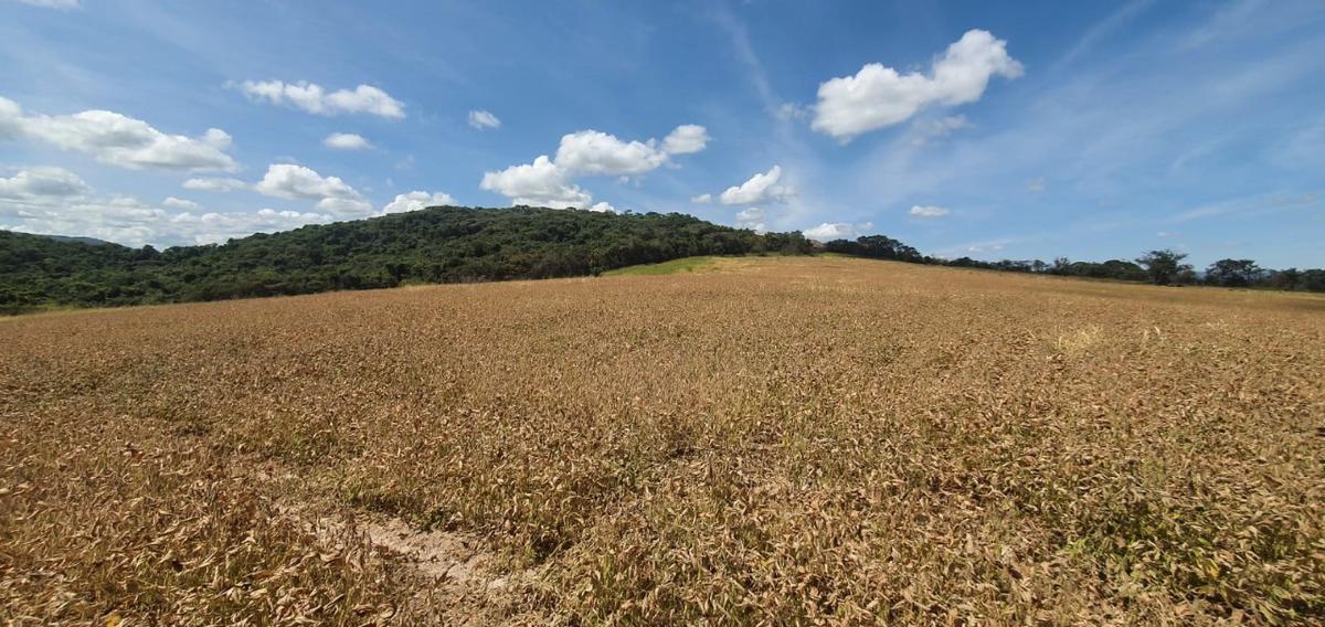 Fazenda, Centro, 1 Quarto, 1 Vaga